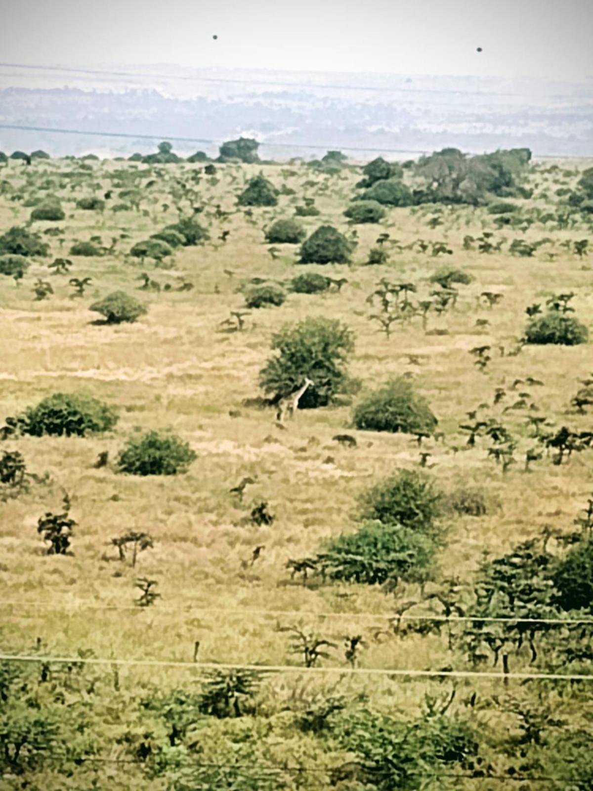 مبيت وإفطار Mlolongo Lenayan Park View المظهر الخارجي الصورة