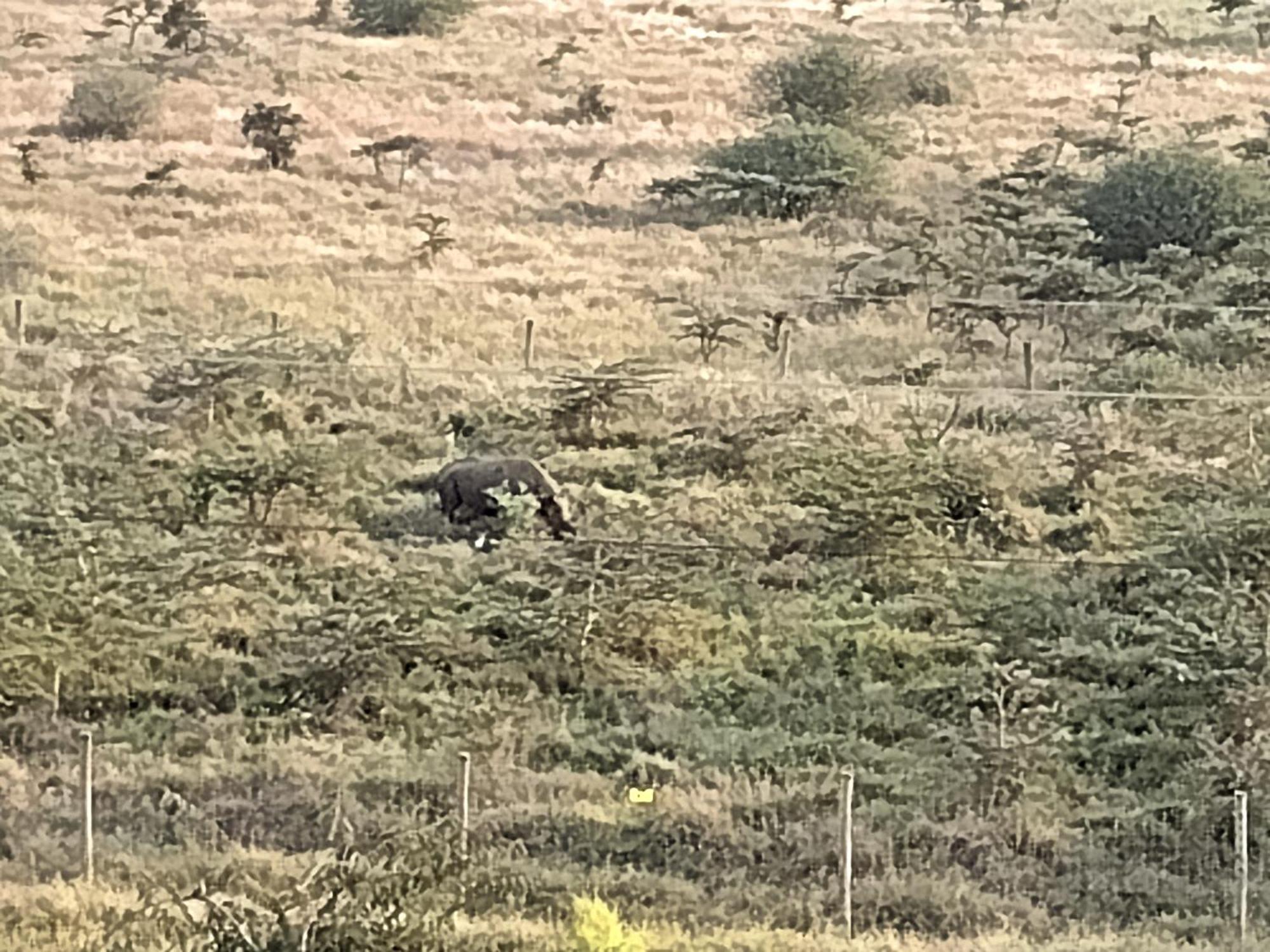 مبيت وإفطار Mlolongo Lenayan Park View المظهر الخارجي الصورة